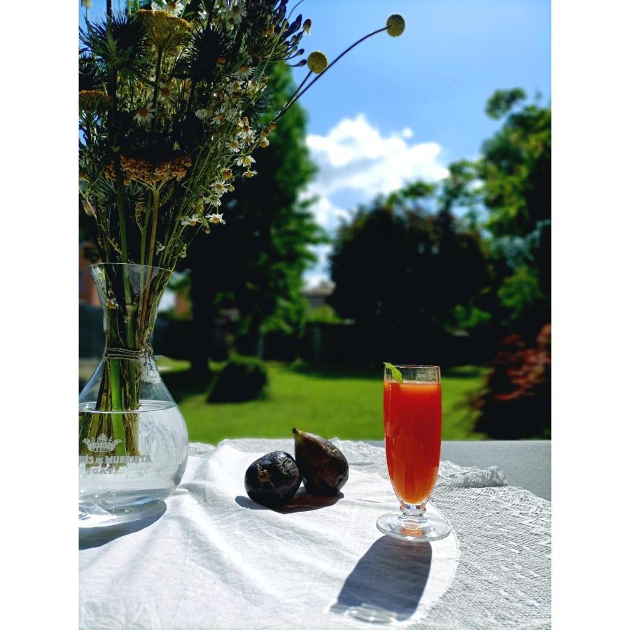 Villa Rustico Viboldone Экстерьер фото